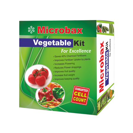 Vegetable Kit