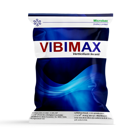 VibiMax