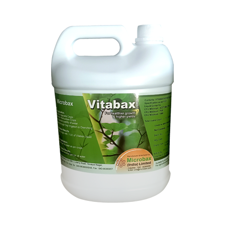 Vitabax