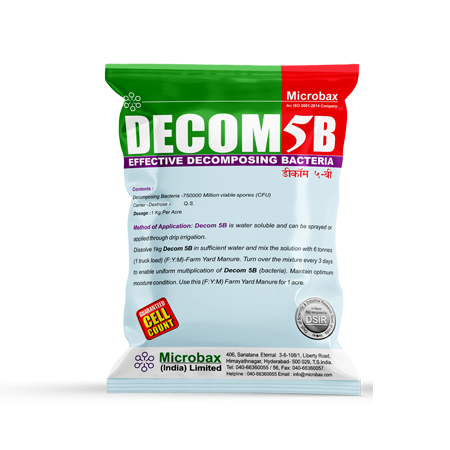 Decomp- 5B