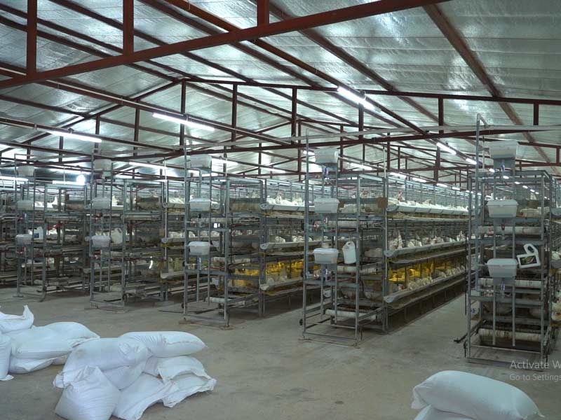 Haritpane Agro Poultry Unit