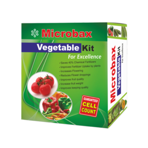 Vegetable Kit