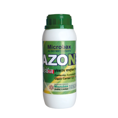 azon-1.png