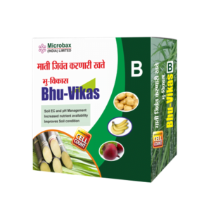 Bhu-Vikas Kit-B