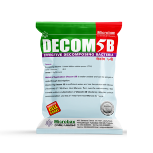 Decomp-5B