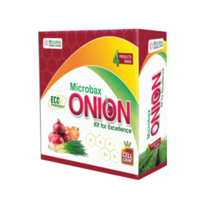 Onion and Garlic Kit