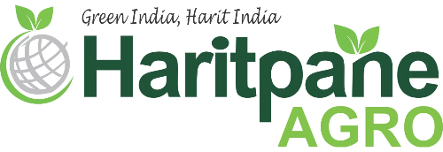 Haritpane